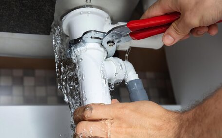 Plumbing Safety Tips Pets